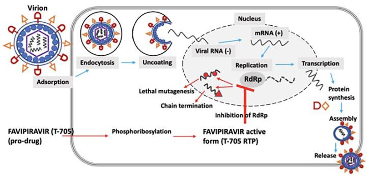 https://cdn.ncbi.nlm.nih.gov/pmc/blobs/f70f/8646822/8eba987063bb/10.1177_20499361211063016-fig1.jpg