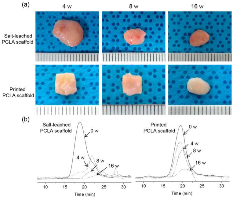 https://cdn.ncbi.nlm.nih.gov/pmc/blobs/f710/7599662/12e1d5de068d/polymers-12-02210-g006.jpg