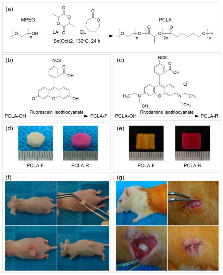 https://cdn.ncbi.nlm.nih.gov/pmc/blobs/f710/7599662/6d2c9565ed38/polymers-12-02210-g002.jpg