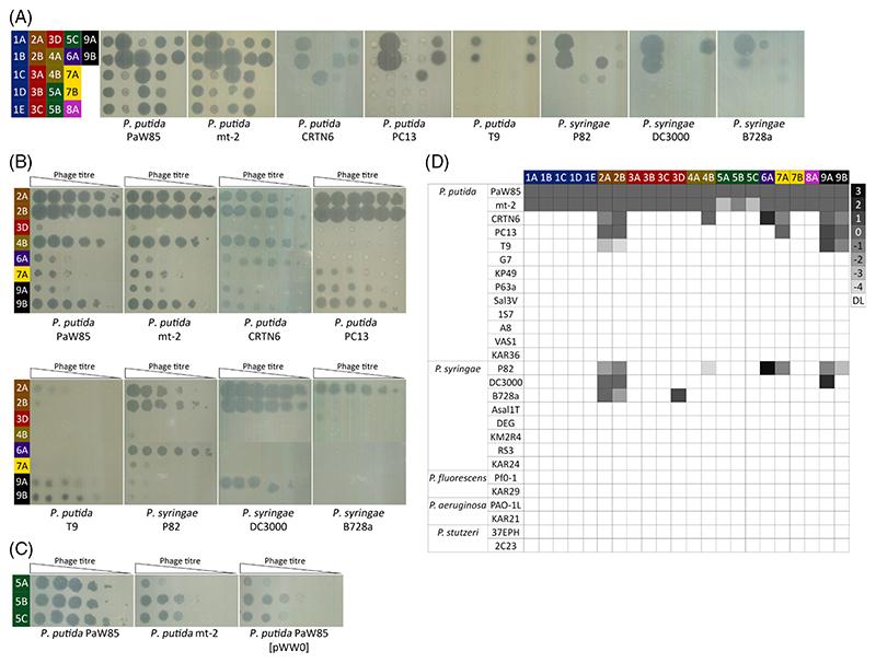 https://cdn.ncbi.nlm.nih.gov/pmc/blobs/f711/7616413/f2aeb2b348e8/EMS198350-f005.jpg