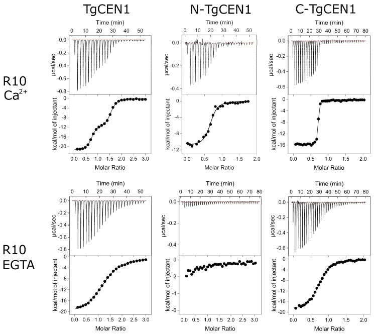 https://cdn.ncbi.nlm.nih.gov/pmc/blobs/f711/9406199/8c61c42f9bb6/biomolecules-12-01115-g002.jpg