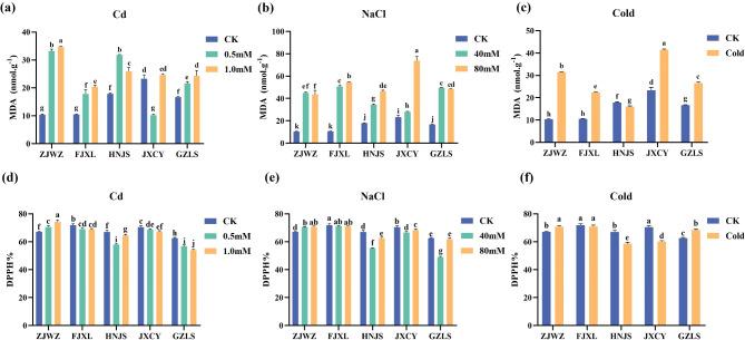 https://cdn.ncbi.nlm.nih.gov/pmc/blobs/f713/11673374/0b7c3d250fb8/12870_2024_5975_Fig5_HTML.jpg
