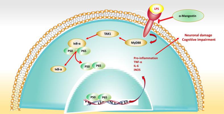 https://cdn.ncbi.nlm.nih.gov/pmc/blobs/f715/11333789/41a59d2858af/CN-22-1986_F3.jpg