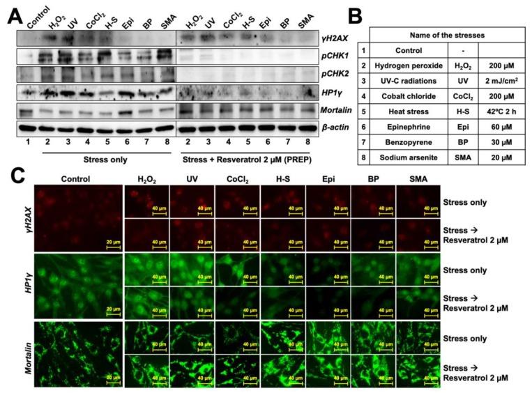 https://cdn.ncbi.nlm.nih.gov/pmc/blobs/f716/7146125/ef3684c42ceb/nutrients-12-00671-g005.jpg