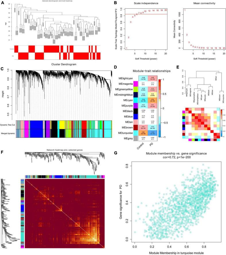 https://cdn.ncbi.nlm.nih.gov/pmc/blobs/f717/9909419/20abf331e0f3/fnins-17-1083928-g004.jpg