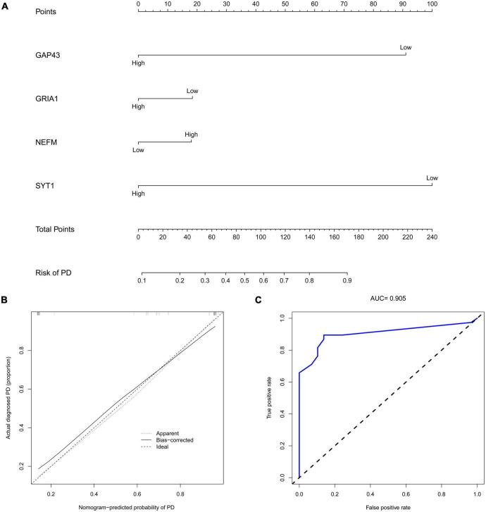 https://cdn.ncbi.nlm.nih.gov/pmc/blobs/f717/9909419/3759fe057926/fnins-17-1083928-g010.jpg