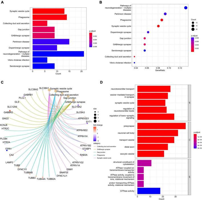 https://cdn.ncbi.nlm.nih.gov/pmc/blobs/f717/9909419/a624d66fbeaa/fnins-17-1083928-g003.jpg
