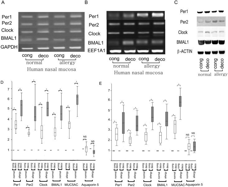 https://cdn.ncbi.nlm.nih.gov/pmc/blobs/f71c/5849312/9b414933b83c/pone.0194018.g001.jpg