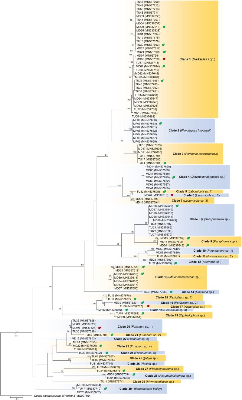 https://cdn.ncbi.nlm.nih.gov/pmc/blobs/f71c/6861457/6dd5e4af7617/fmicb-10-02565-g001.jpg