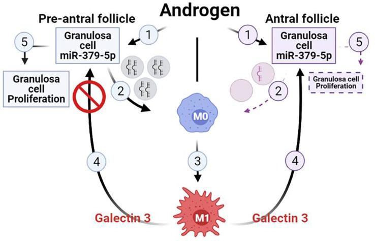 https://cdn.ncbi.nlm.nih.gov/pmc/blobs/f71d/10081157/6aabb23781a3/fimmu-14-1104550-g004.jpg