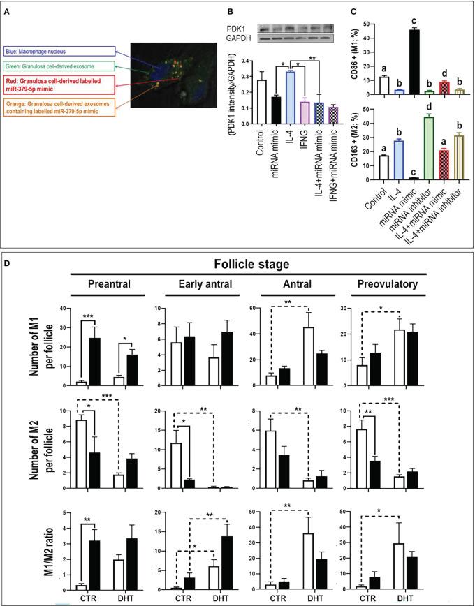 https://cdn.ncbi.nlm.nih.gov/pmc/blobs/f71d/10081157/6d1f2fecf161/fimmu-14-1104550-g001.jpg
