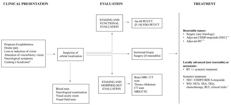 https://cdn.ncbi.nlm.nih.gov/pmc/blobs/f71f/10886459/de3734d0a4d0/biomedicines-12-00379-g006.jpg