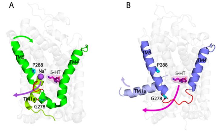 https://cdn.ncbi.nlm.nih.gov/pmc/blobs/f71f/11988846/b1ce76e00667/ijms-26-03054-g008.jpg