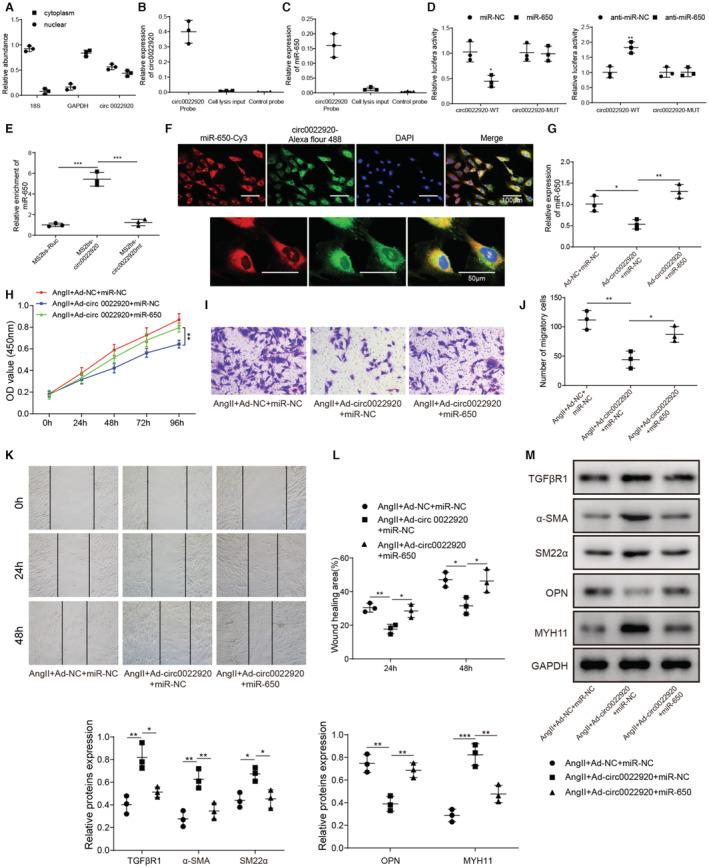 https://cdn.ncbi.nlm.nih.gov/pmc/blobs/f720/10122879/a4a8cc94765e/JAH3-12-e027425-g003.jpg