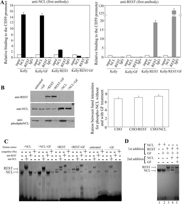 https://cdn.ncbi.nlm.nih.gov/pmc/blobs/f720/2875004/4712558bfda5/gkq013f3.jpg
