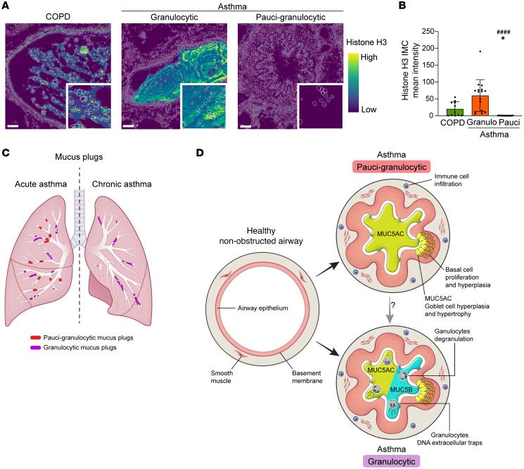 https://cdn.ncbi.nlm.nih.gov/pmc/blobs/f721/11910225/302cd052d193/jci-135-186889-g168.jpg