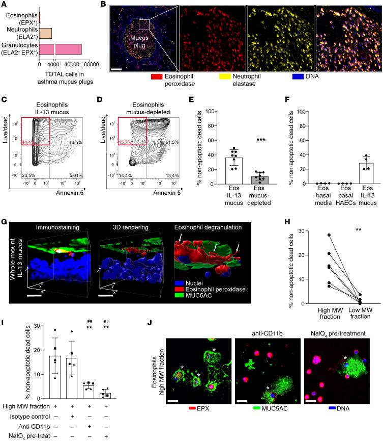 https://cdn.ncbi.nlm.nih.gov/pmc/blobs/f721/11910225/6dfe9d596203/jci-135-186889-g167.jpg