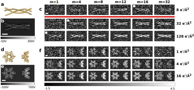 https://cdn.ncbi.nlm.nih.gov/pmc/blobs/f722/5431881/2aea931eaddd/41598_2017_1841_Fig3_HTML.jpg