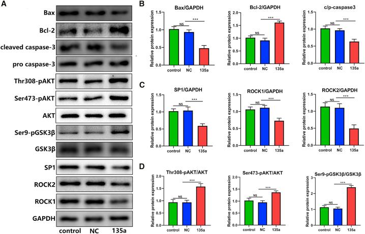 https://cdn.ncbi.nlm.nih.gov/pmc/blobs/f722/7691148/74aab87cd6ee/gr7.jpg