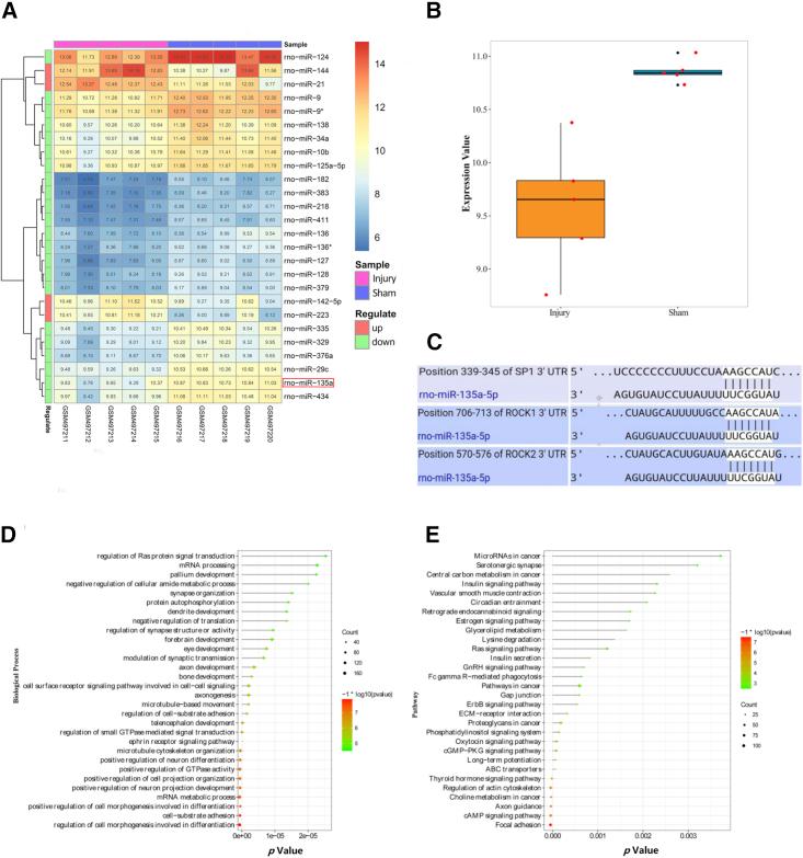 https://cdn.ncbi.nlm.nih.gov/pmc/blobs/f722/7691148/f61082e09ab6/gr1.jpg