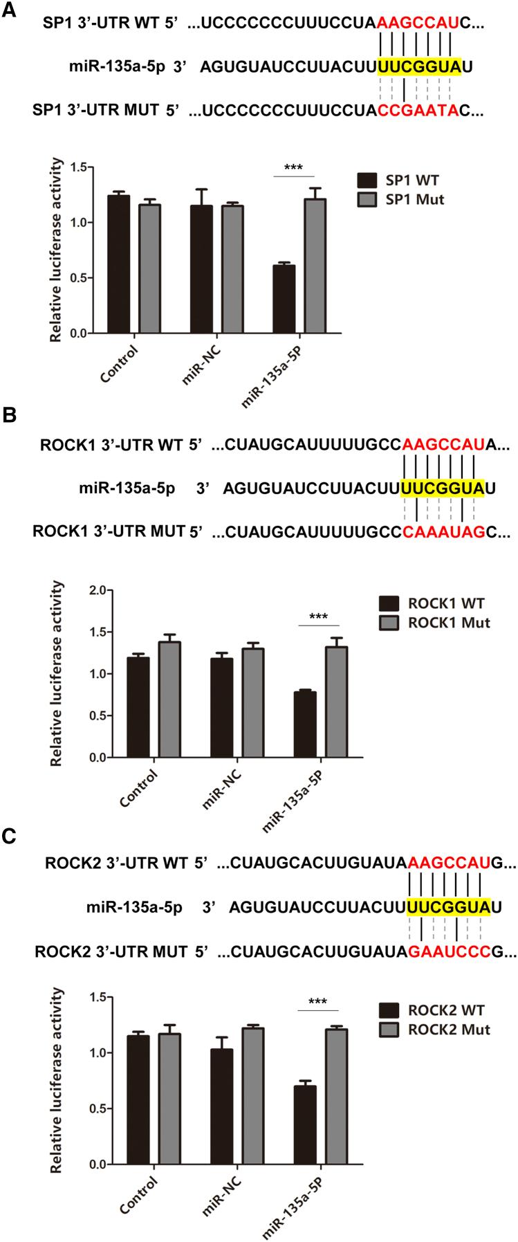 https://cdn.ncbi.nlm.nih.gov/pmc/blobs/f722/7691148/fc8e7f192ec6/gr5.jpg