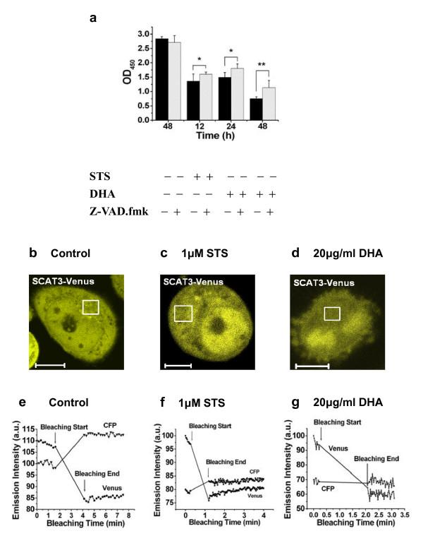 https://cdn.ncbi.nlm.nih.gov/pmc/blobs/f724/2653522/8c2d476c4a51/1423-0127-16-16-4.jpg