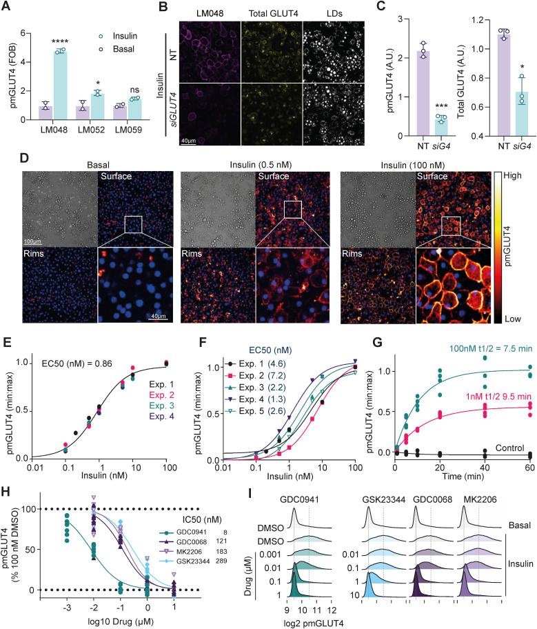 https://cdn.ncbi.nlm.nih.gov/pmc/blobs/f725/9595207/dcdaa8c912d5/LSA-2022-01585_Fig1.jpg