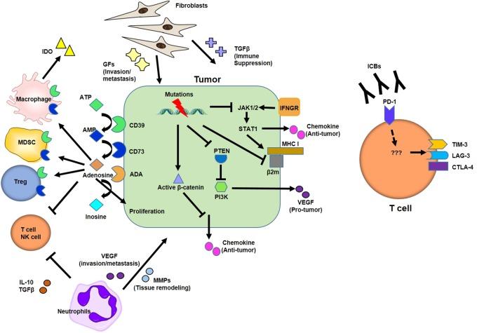 https://cdn.ncbi.nlm.nih.gov/pmc/blobs/f726/6105674/a61caa71ea02/12276_2018_130_Fig3_HTML.jpg