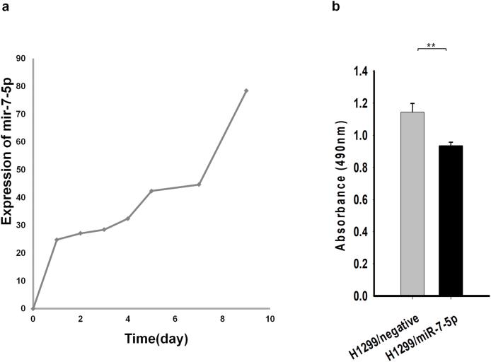 https://cdn.ncbi.nlm.nih.gov/pmc/blobs/f726/7677666/0dca73c92efe/gr3.jpg