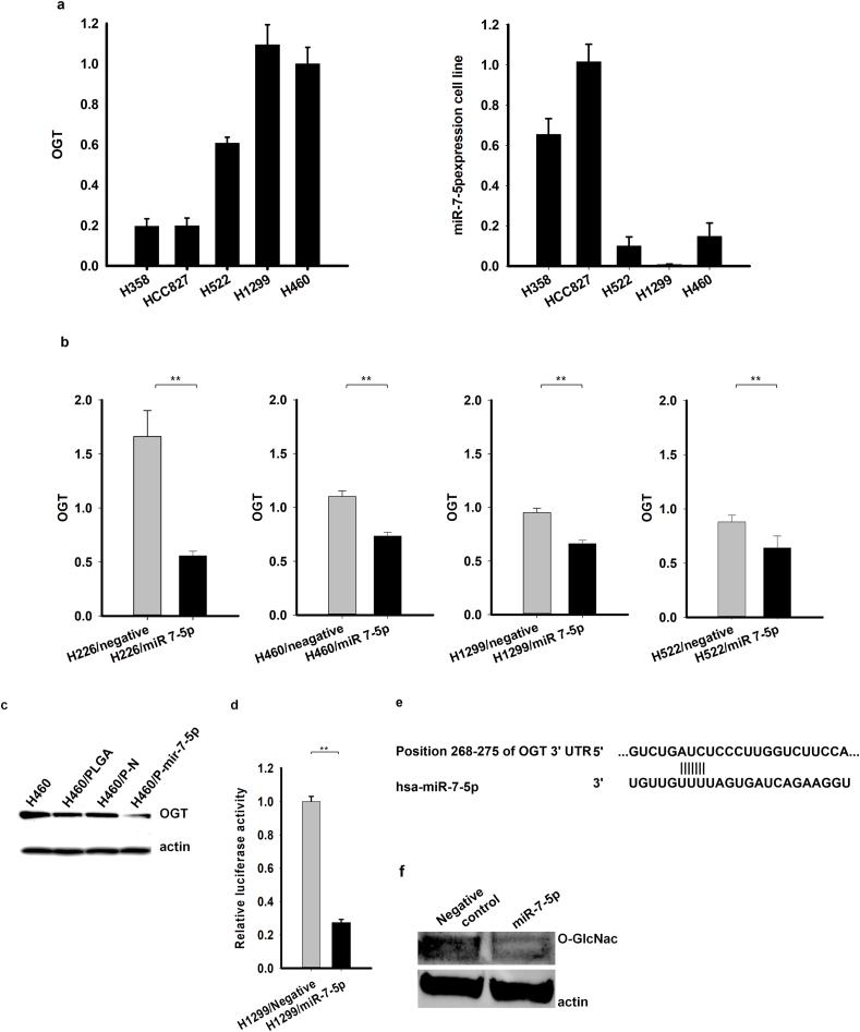 https://cdn.ncbi.nlm.nih.gov/pmc/blobs/f726/7677666/d9a5f11d88e7/gr1.jpg