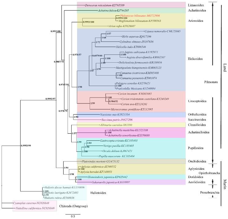 https://cdn.ncbi.nlm.nih.gov/pmc/blobs/f728/6471268/1d2923a22608/genes-10-00198-g007.jpg