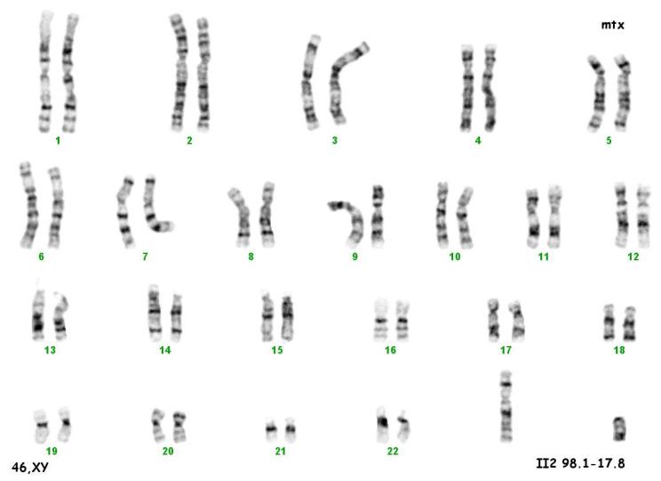 https://cdn.ncbi.nlm.nih.gov/pmc/blobs/f728/9916373/7b3375f250ef/ijerph-20-02139-g002.jpg