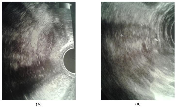 https://cdn.ncbi.nlm.nih.gov/pmc/blobs/f728/9916373/935abdaa8415/ijerph-20-02139-g001.jpg