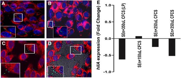 https://cdn.ncbi.nlm.nih.gov/pmc/blobs/f729/3662602/4d8d7806f992/1757-4749-5-11-6.jpg