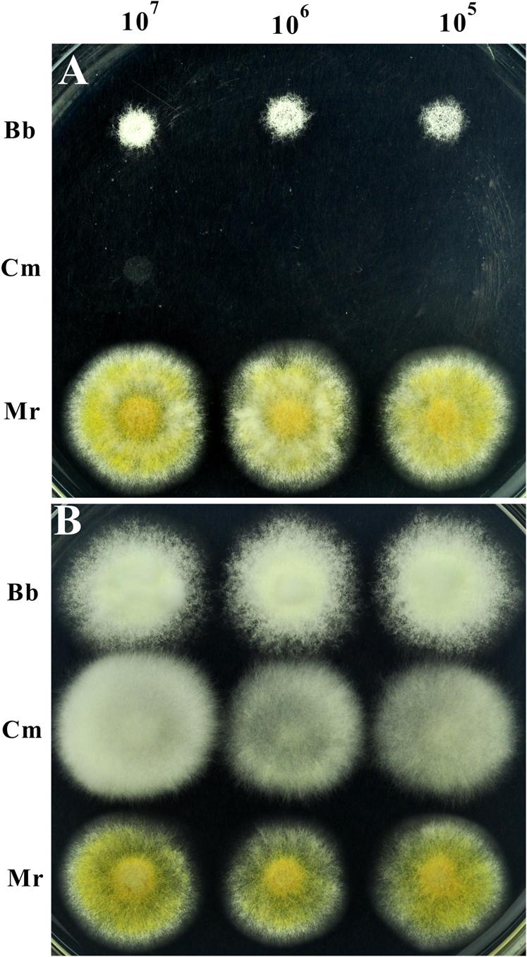 https://cdn.ncbi.nlm.nih.gov/pmc/blobs/f72a/3387728/7f69a0b0ed88/srep00483-f4.jpg