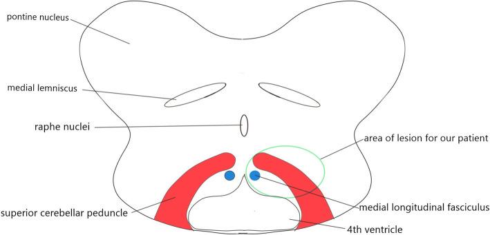 https://cdn.ncbi.nlm.nih.gov/pmc/blobs/f72b/7908666/6bc986da1584/12886_2021_1868_Fig4_HTML.jpg