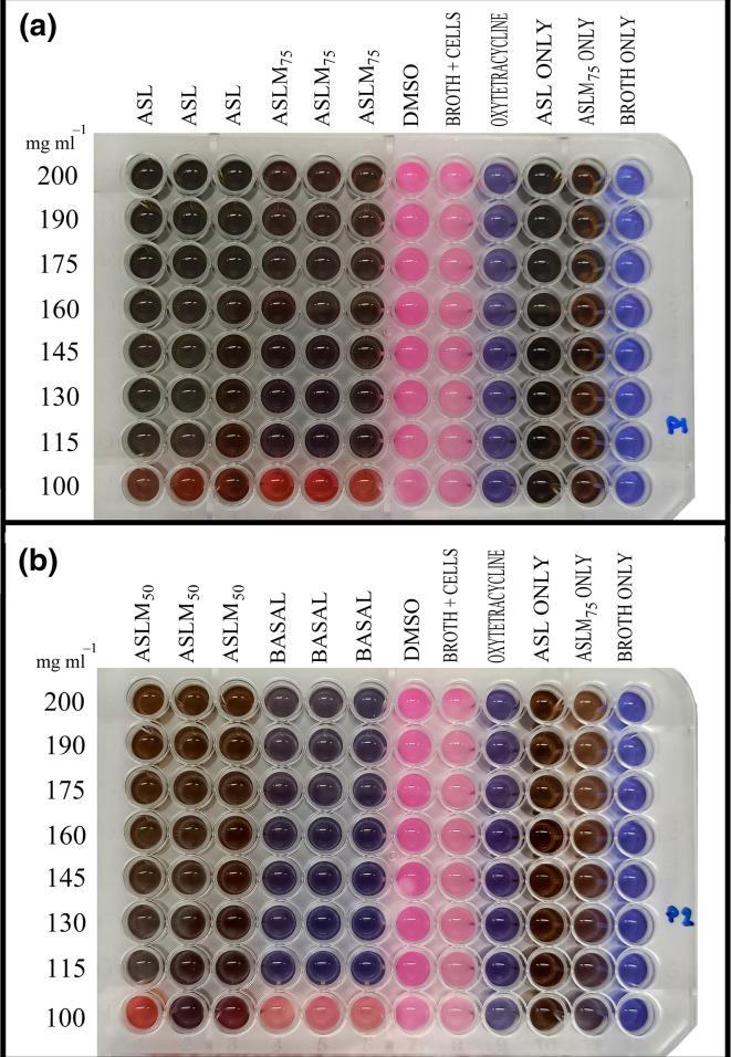 https://cdn.ncbi.nlm.nih.gov/pmc/blobs/f72b/8941963/49325d74b806/acmi-4-0305-g004.jpg