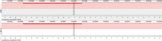 https://cdn.ncbi.nlm.nih.gov/pmc/blobs/f72c/6499161/358181c4f01c/fmicb-10-00739-g002.jpg