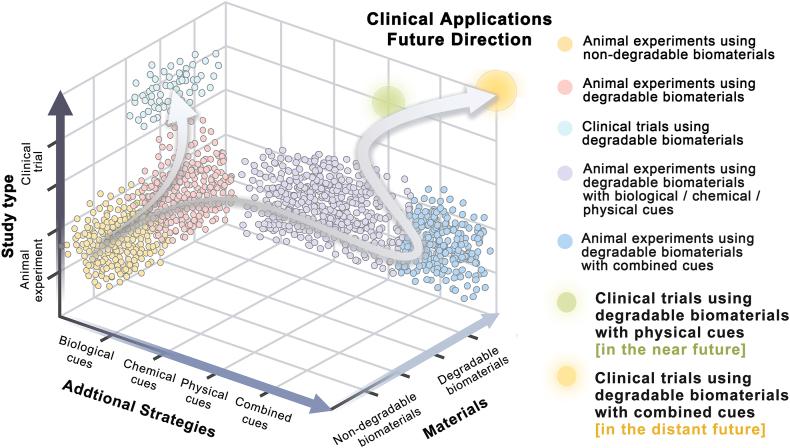 https://cdn.ncbi.nlm.nih.gov/pmc/blobs/f72e/11867546/6977d29bd40a/gr11.jpg