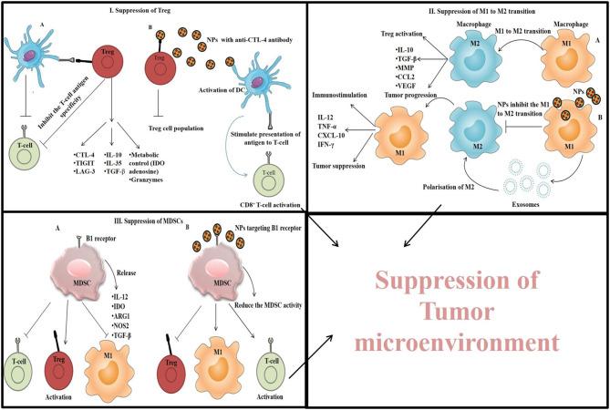 https://cdn.ncbi.nlm.nih.gov/pmc/blobs/f72e/7779678/48fe7d4e4d50/fchem-08-597806-g0006.jpg