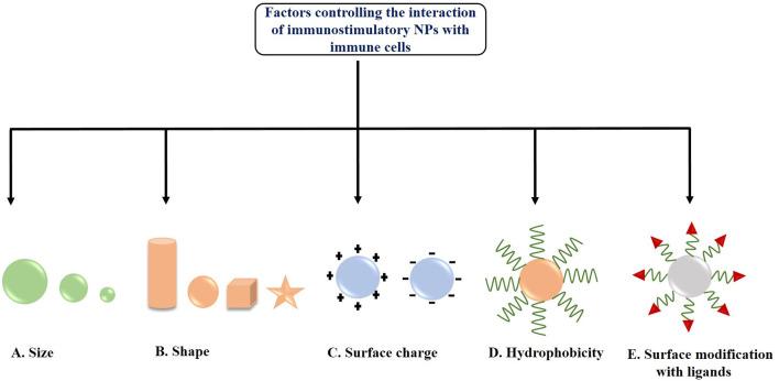 https://cdn.ncbi.nlm.nih.gov/pmc/blobs/f72e/7779678/92abf2420910/fchem-08-597806-g0003.jpg
