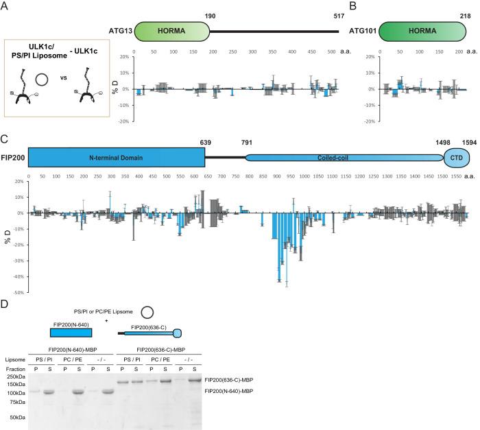 https://cdn.ncbi.nlm.nih.gov/pmc/blobs/f730/7447430/7e0492ba1239/elife-59099-fig3.jpg