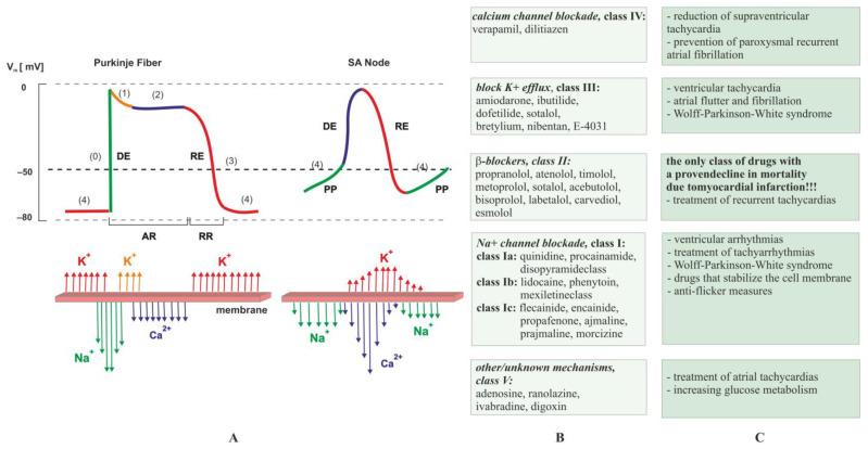 https://cdn.ncbi.nlm.nih.gov/pmc/blobs/f731/10778936/fa809dc25f5a/ijms-25-00263-g004.jpg