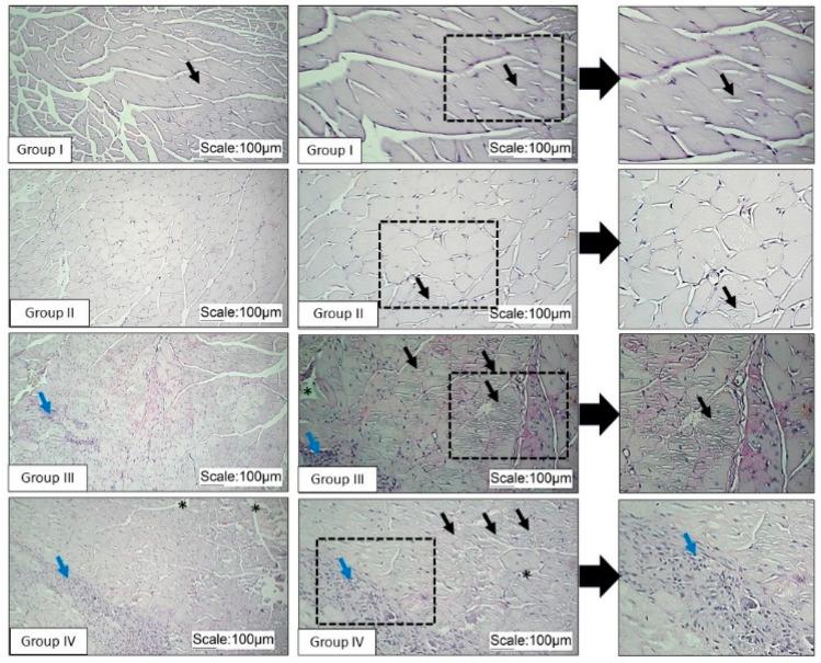 https://cdn.ncbi.nlm.nih.gov/pmc/blobs/f731/11755625/6f6df479d939/pathophysiology-32-00002-g003.jpg