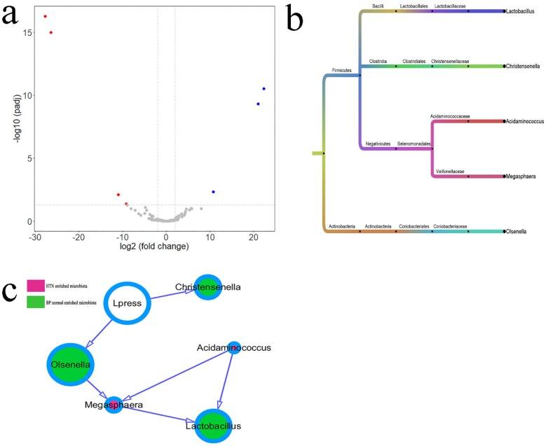 https://cdn.ncbi.nlm.nih.gov/pmc/blobs/f731/6643114/6a2e445cb662/ijmsv16p0872g003.jpg