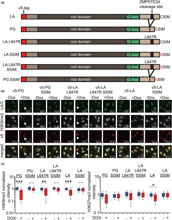 https://cdn.ncbi.nlm.nih.gov/pmc/blobs/f733/11113360/74b41584b763/ACEL-23-e14105-g002.jpg