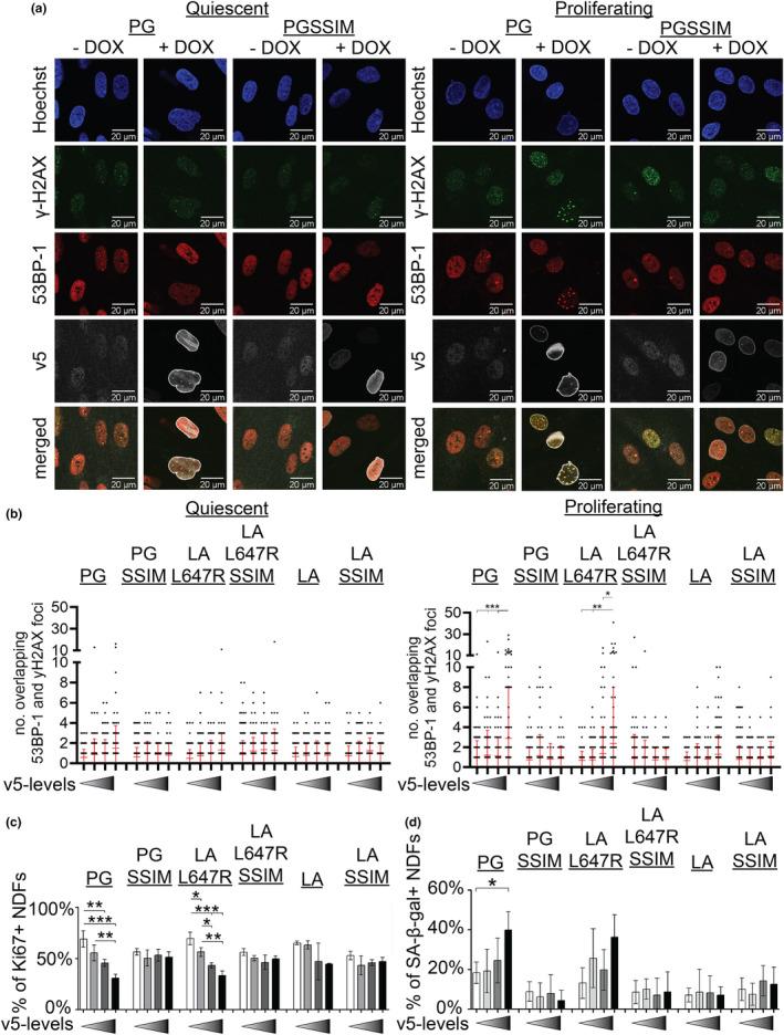 https://cdn.ncbi.nlm.nih.gov/pmc/blobs/f733/11113360/a1bf0c4fe779/ACEL-23-e14105-g005.jpg