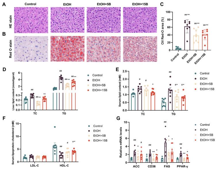 https://cdn.ncbi.nlm.nih.gov/pmc/blobs/f733/11395132/12ce03f1d705/ijms-25-09420-g003.jpg