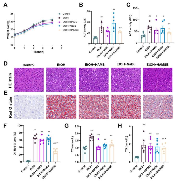 https://cdn.ncbi.nlm.nih.gov/pmc/blobs/f733/11395132/25fee7557544/ijms-25-09420-g004.jpg