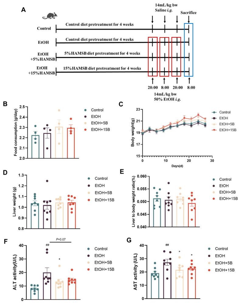 https://cdn.ncbi.nlm.nih.gov/pmc/blobs/f733/11395132/4799f4296089/ijms-25-09420-g002.jpg